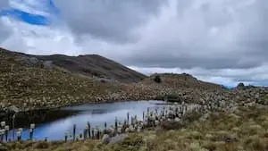 Vija a Paramo Consuelo