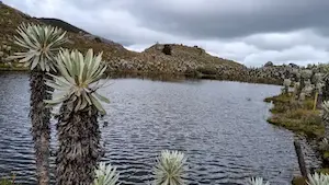 Vija a Paramo Consuelo