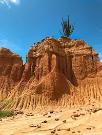 Tour por el Desierto De La Tatacoa/ Gigante Huila